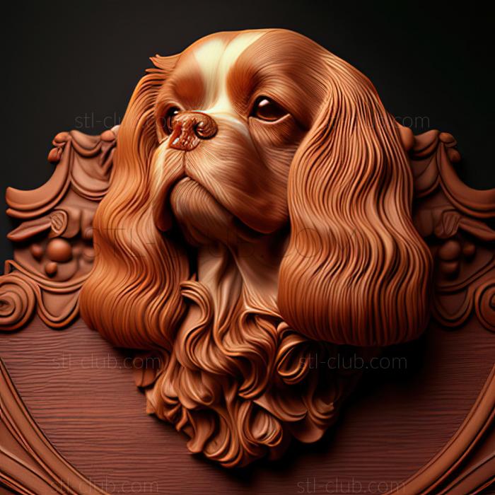 st King Charles Spaniel dog